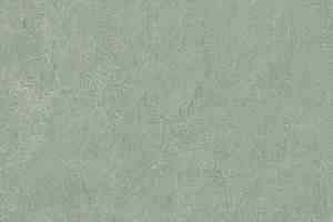 Линолеум Forbo Marmoleum Decibel on Order 389135 sage фото  | FLOORDEALER